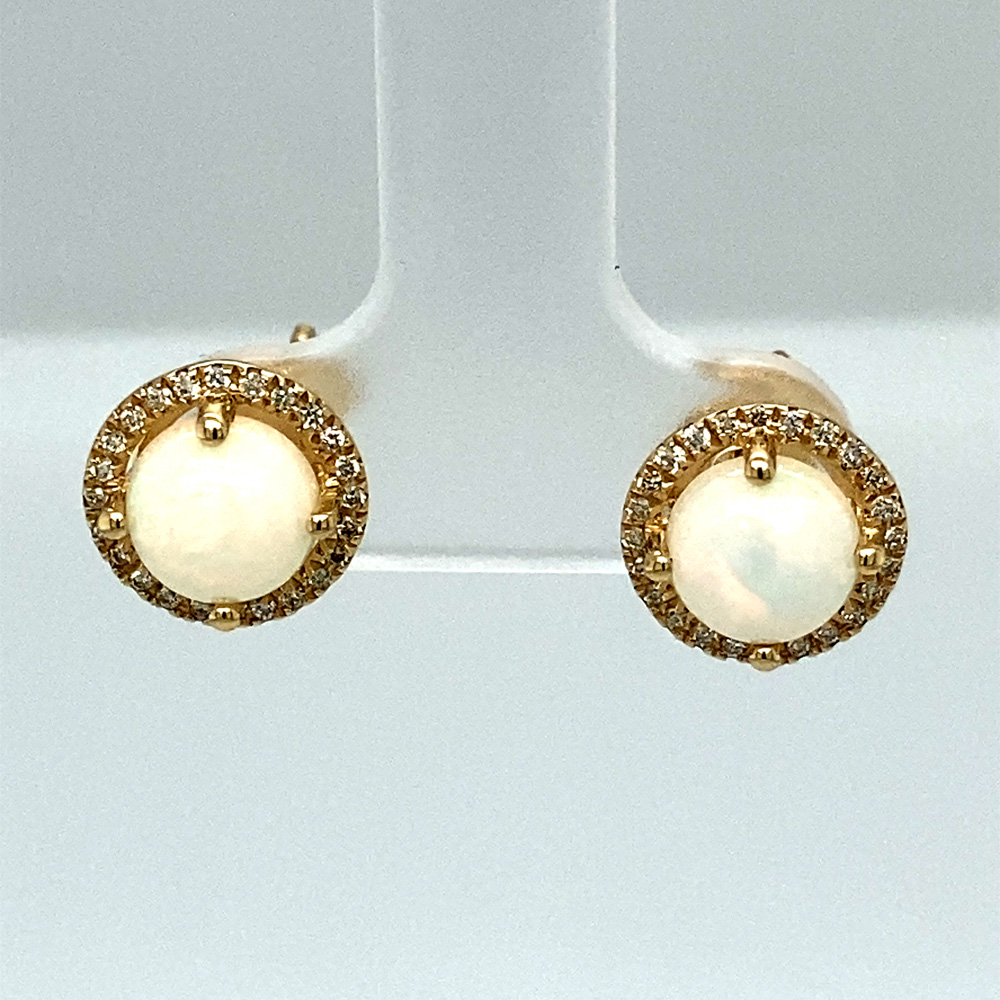 White Opal Earring in 14K Yellow Gold