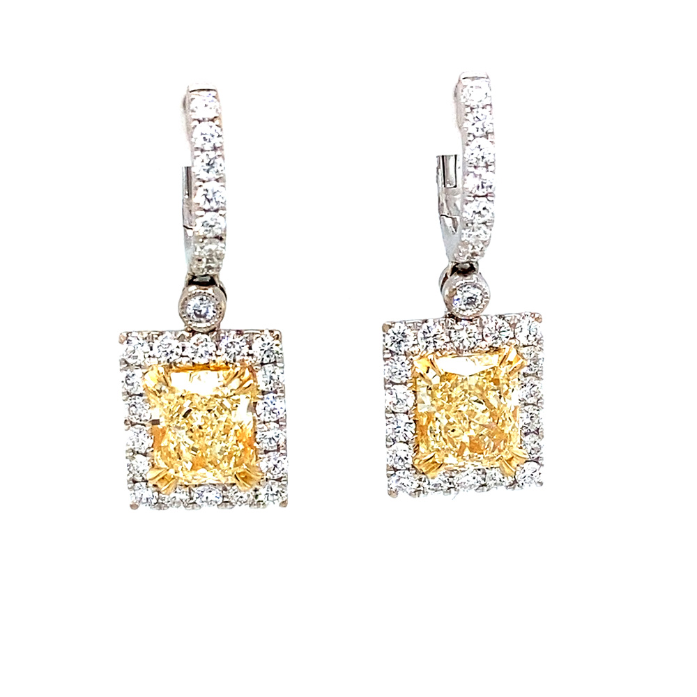 Yellow Diamond Earring in 14K Two Tone Gold