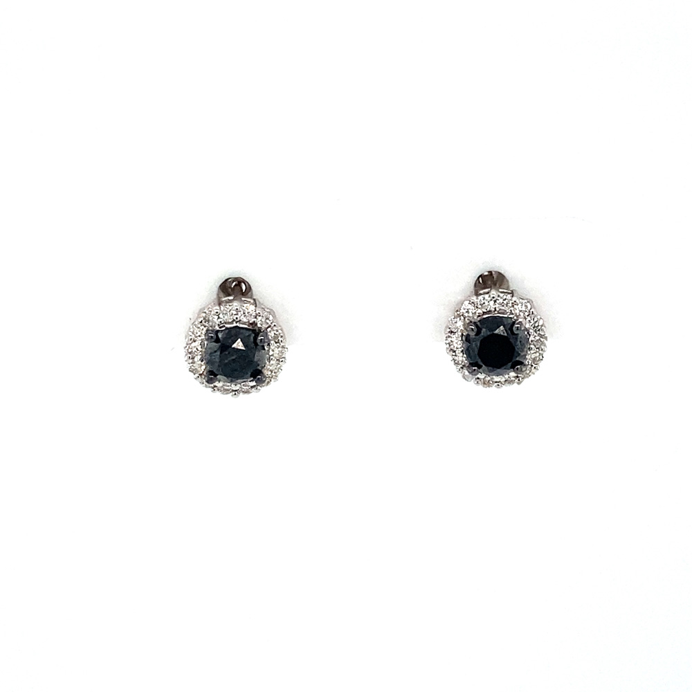 Black Diamond Earrings in 14K White Gold